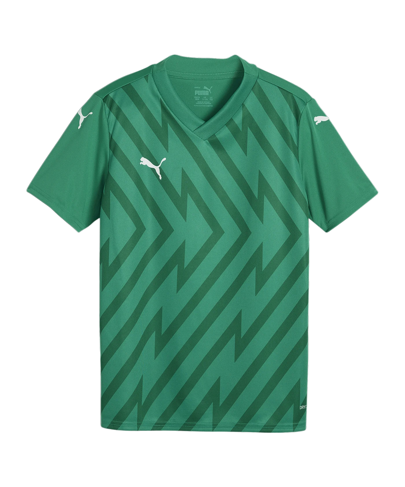 PUMA teamGLORY Trikot Kids Grün Weiss Grün F05