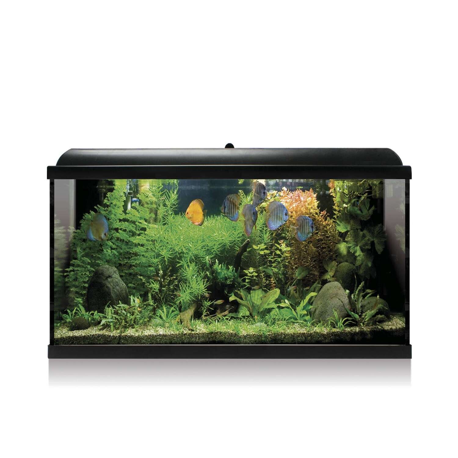 Kit AQUA-LED PRO 100 BLACK com filtro interno 47,2x30,9x80cm