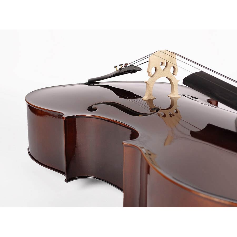 Leonardo LC-2044 4/4 cello met strijkstok en draagtas