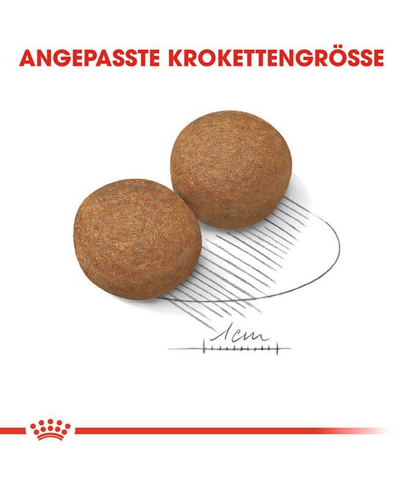 ROYAL CANIN® Trockenfutter für Hunde 5+ Maxi