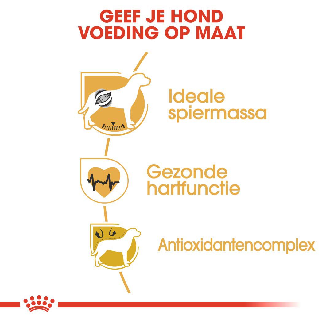 Royal Canin Boxer Adult - Hondenvoer - 12 Kilogram - gevogelte