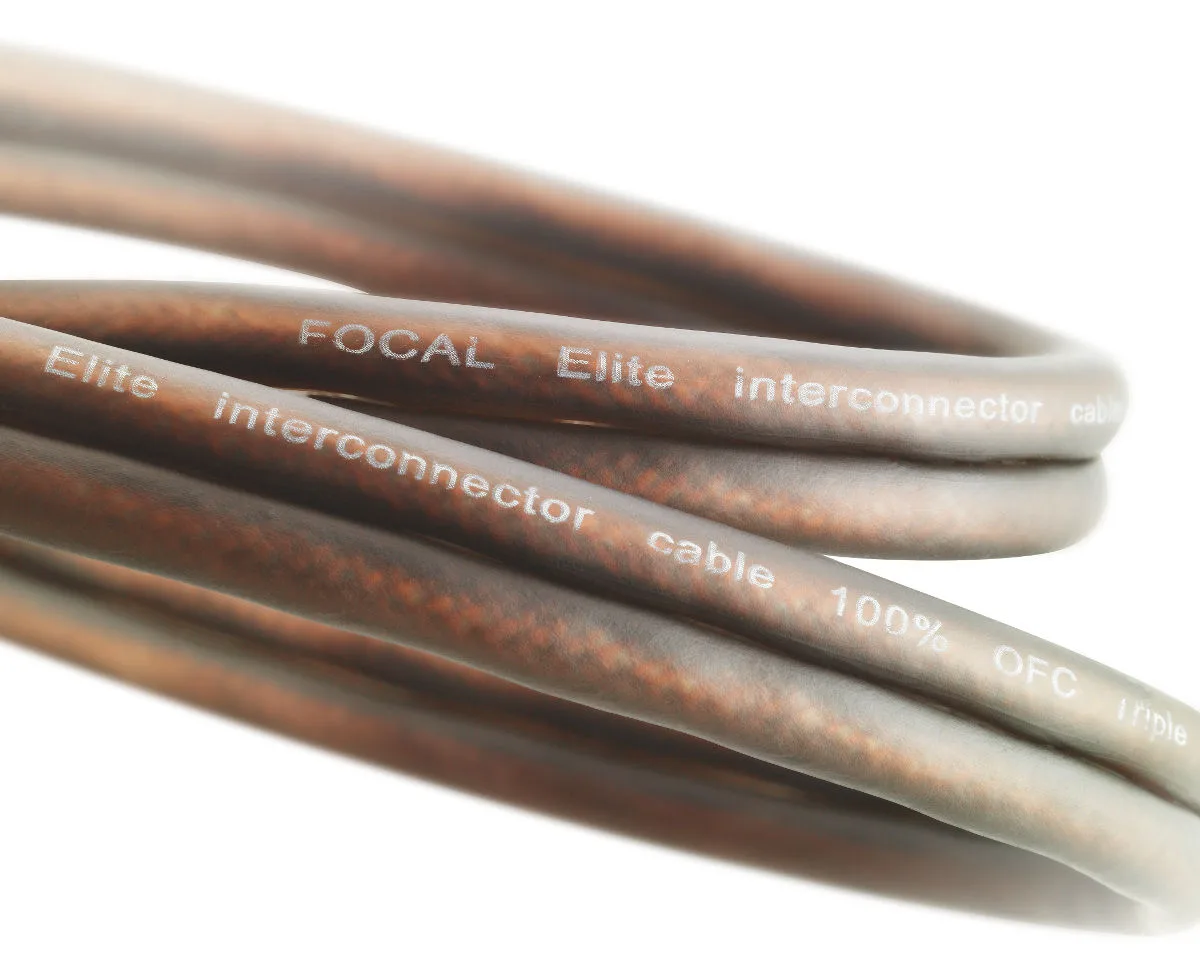 Focal ER5 (5 m) Câbles autoradio