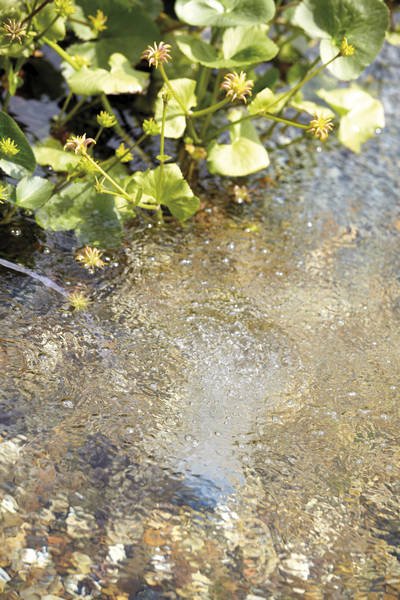 AquaOxy 1000 Luchtpomp voor optimale zuurstofvoorziening
