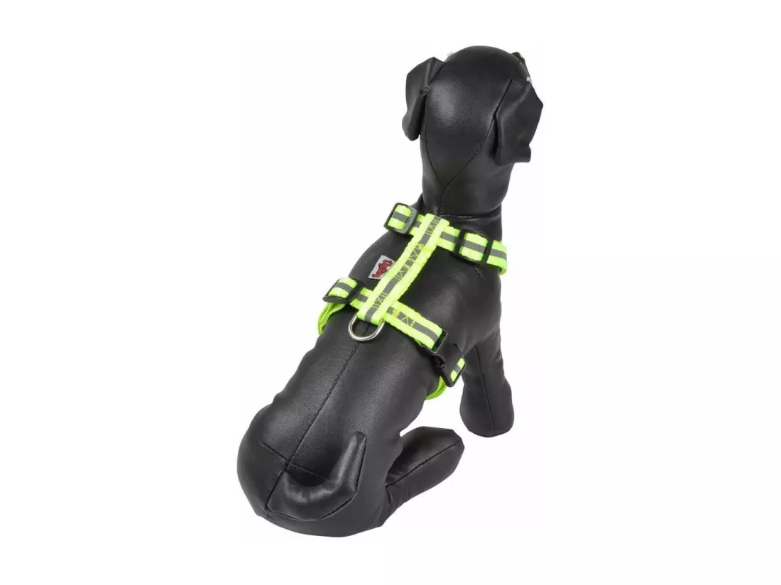 Harnais pour Chien 
