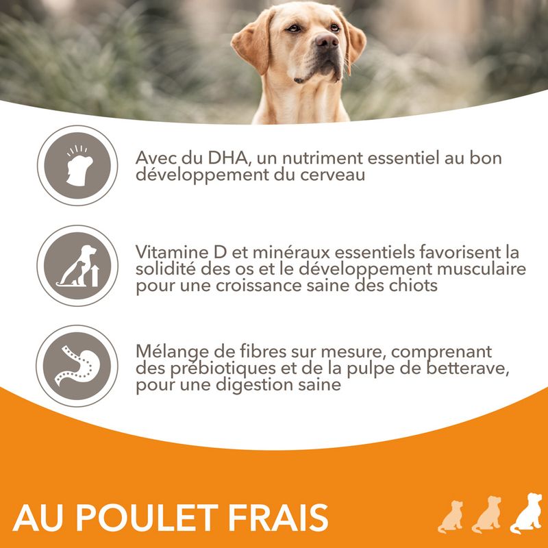 IAMS Advanced Nutrition Puppy Large poulet