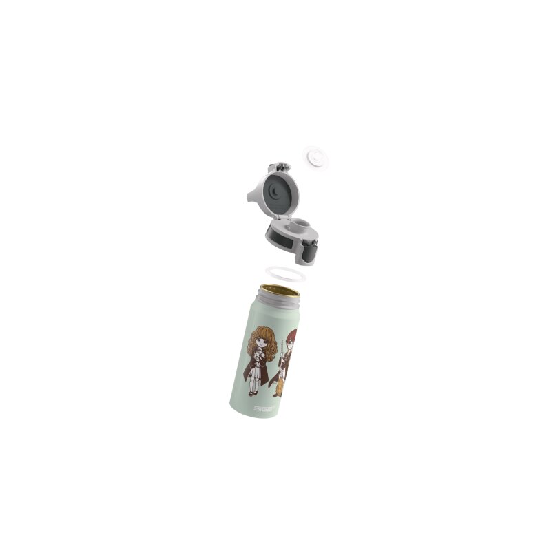SIGG Trinkflasche WMB ONE Stand Together 0.6 L