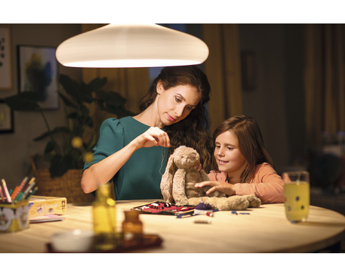 LED-lamp A60 mat E27/2,2W (25W) 250 lm 2700 K warm wit