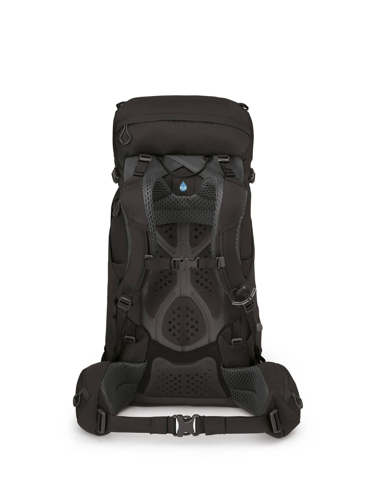 Osprey<br>Kestrel 38