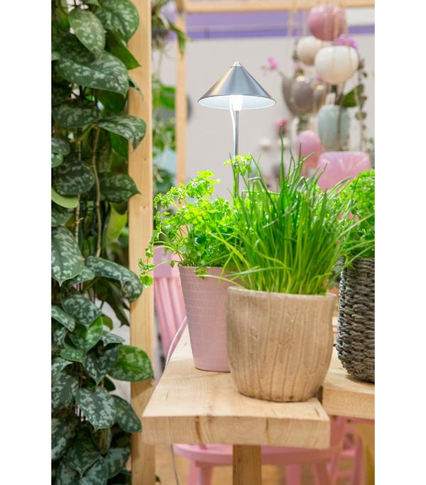 Venso LED-Pflanzenlampe