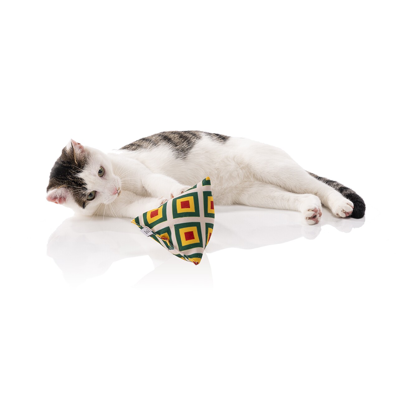 Canadian Cat Company Catnipspielzeug 6x Schmusepyramide Reggae Karo