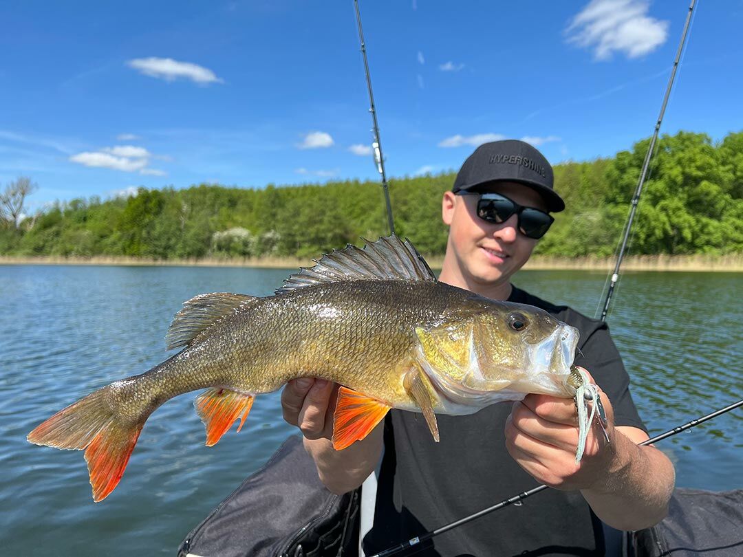 10.5g ChatterBait Mini Max (Z-Man)
