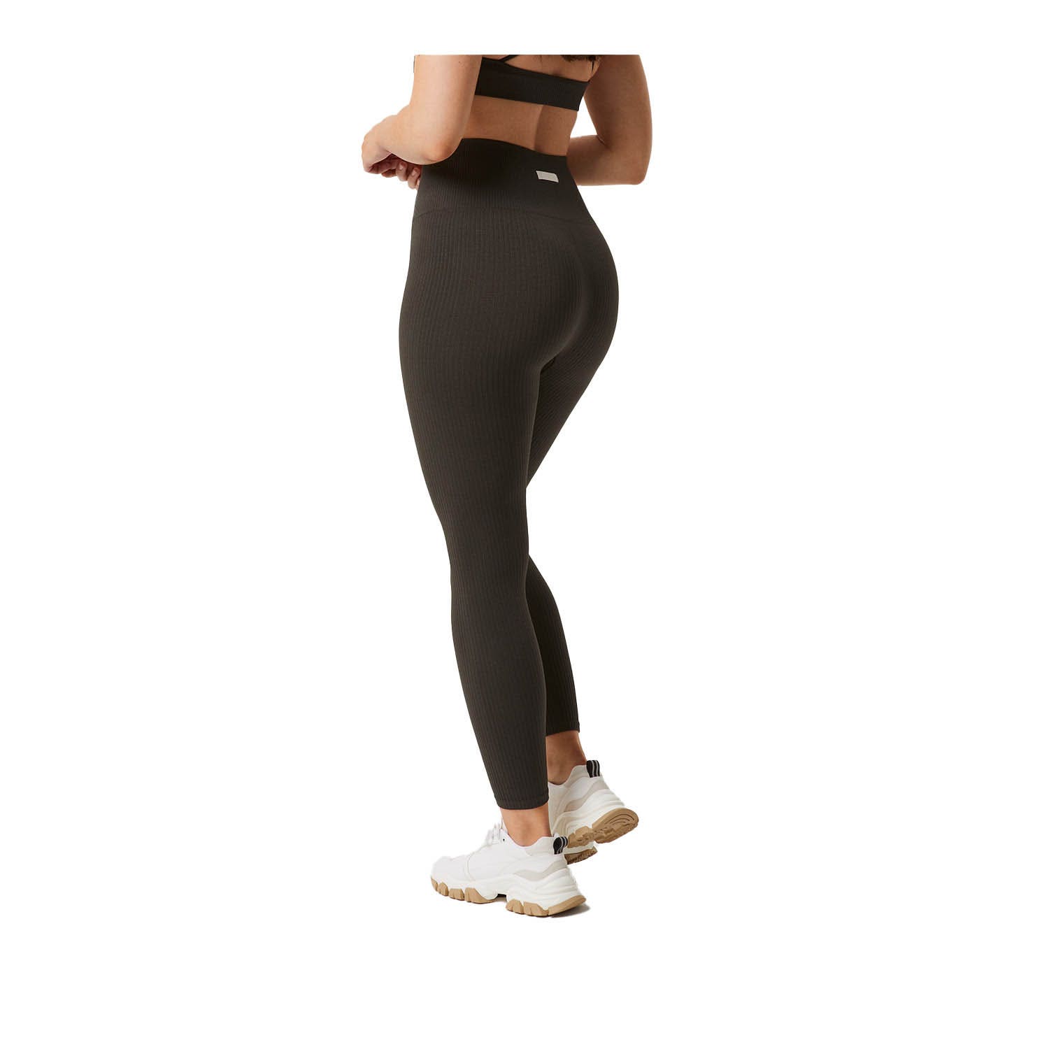 Björn Borg  Studio Seamless Rib Tights
