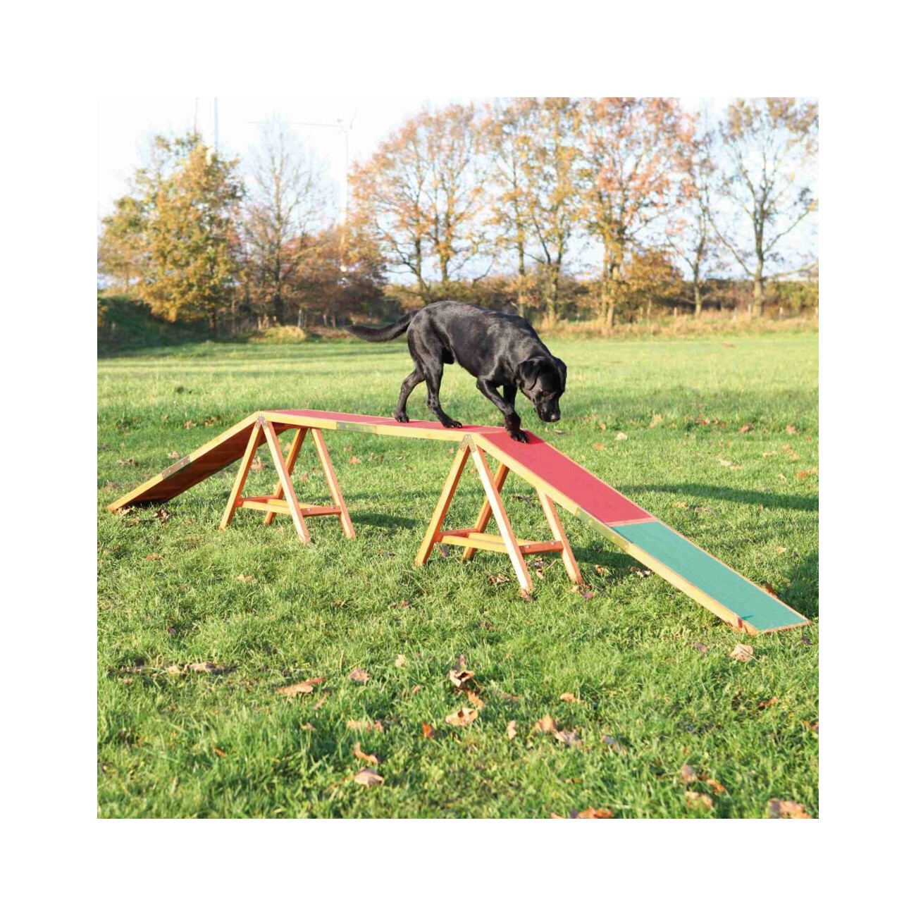 Trixie Fun Agility Steg
