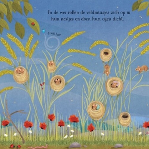 Uitgeverij usborne muziekboek lekker slapen
