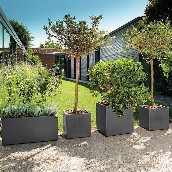 Pot rectangle Millenium en plastique Anthracite L.79 x P.39,5 x H.39cm