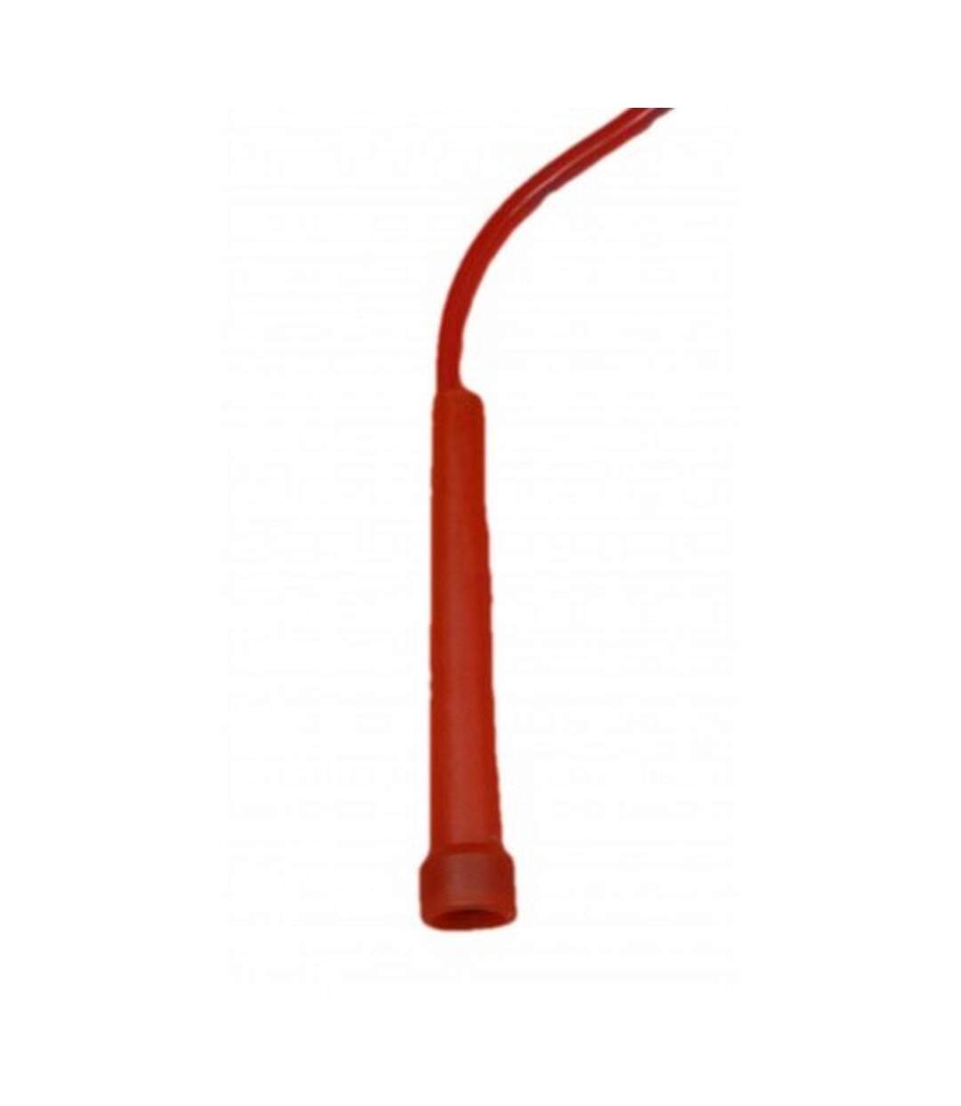 Carta Sport - Corde à sauter (Rouge) (Taille unique) - UTCS180