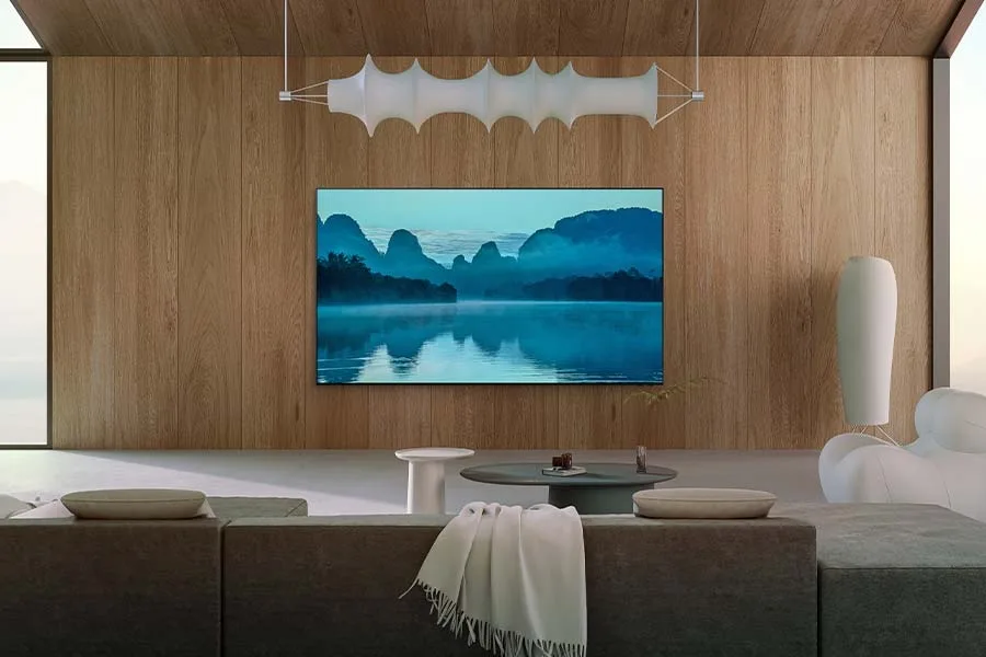 Samsung TQ65QN800D TV UHD-8K