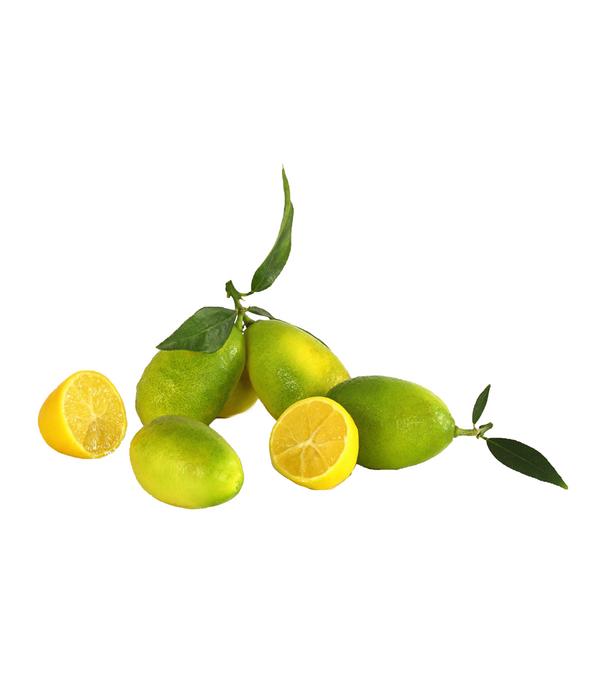 Limette 'Limequat'