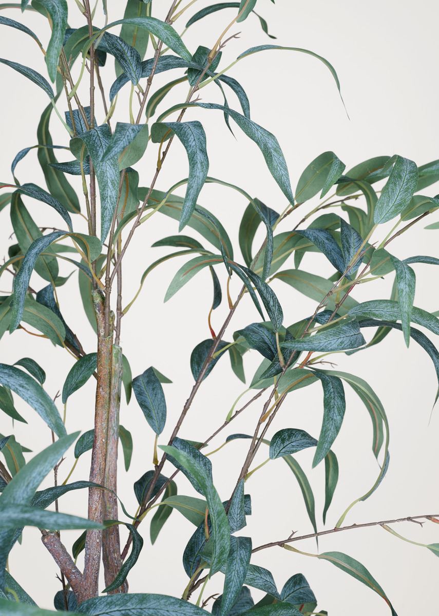 Plante grønn - 55x50x150 cm