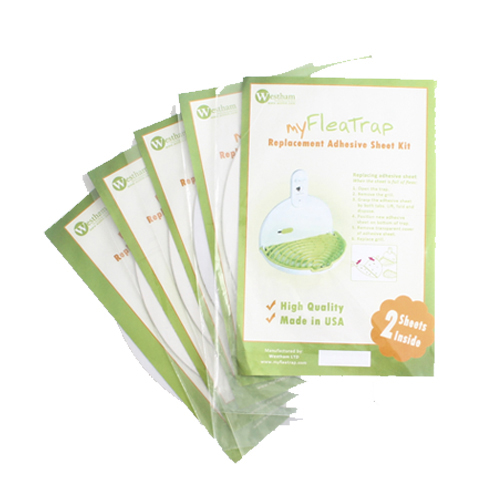myFleaTrap Vlooienval