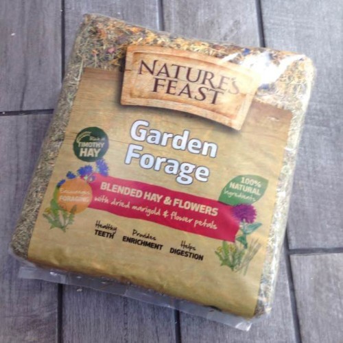 Jardim de feno: forragem para coelhos