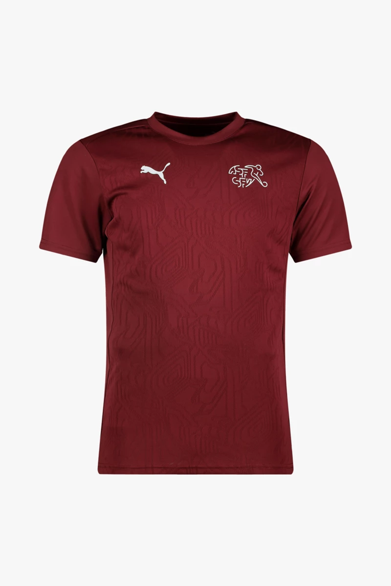 Puma Schweiz Training Herren T-Shirt