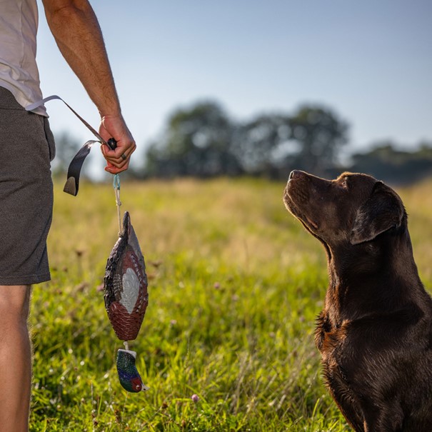 HP&G Training Tool Pheasant<br>Til trening av hund!
