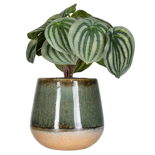 Kunstplant Peperomia 15cm