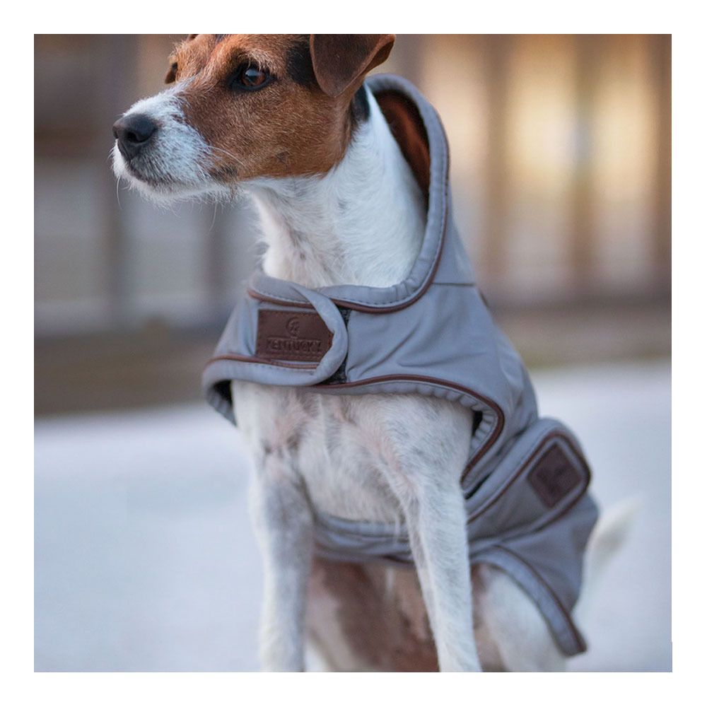 Kentucky REFLECTIVE & WATER REPELLENT XL - Couverture pour chien repellent silver