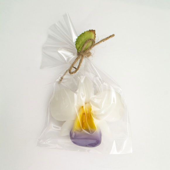 Schwimmkerze 'Orchidee', weiß, multicolor, Ø 8 cm von fischer's lagerhaus