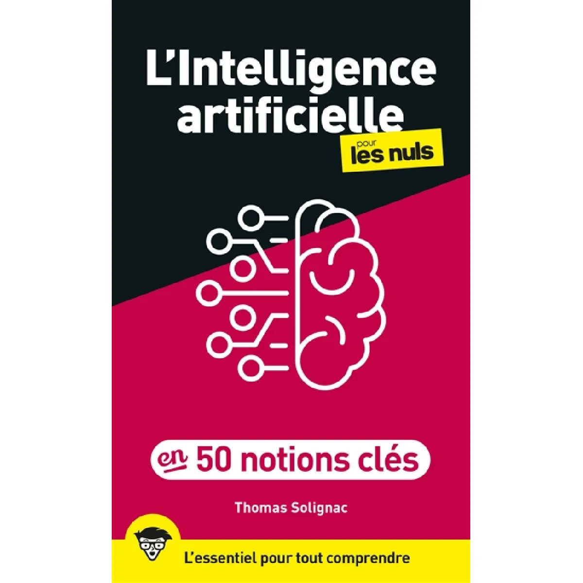 L'intelligence artificielle pour les nuls en 50 notions clés · Occasion