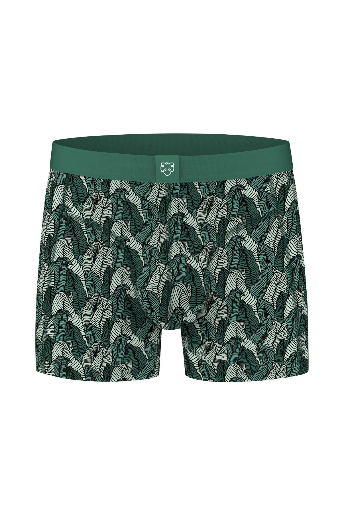 Palm Leaves