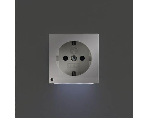 Gira 4170 27 wandcontactdoos met verhoogde aanrakingsbeveiliging + LED-oriëntatieverlichting Standaard 55/E2/Event zuiver wit/mat