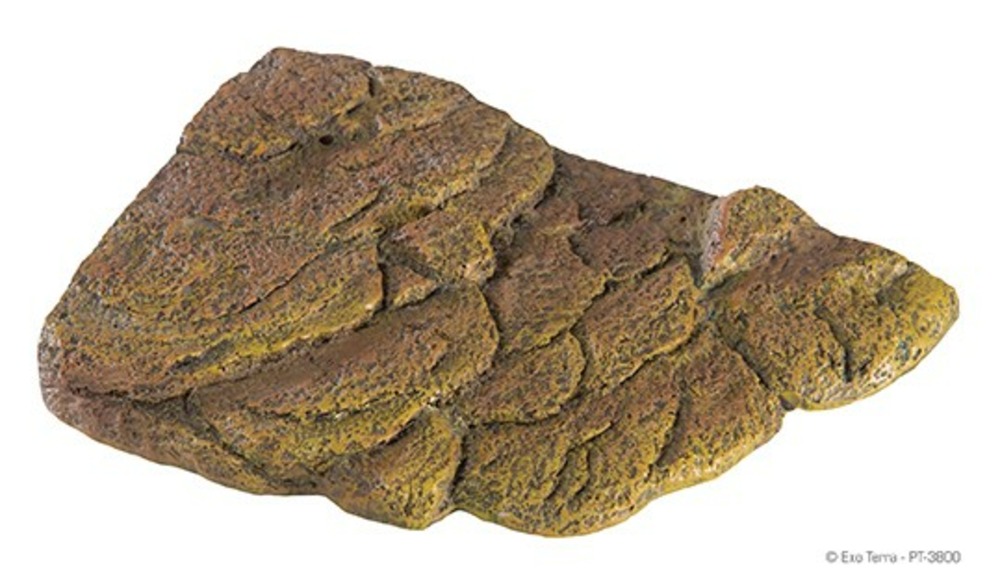 Talus flottant grand