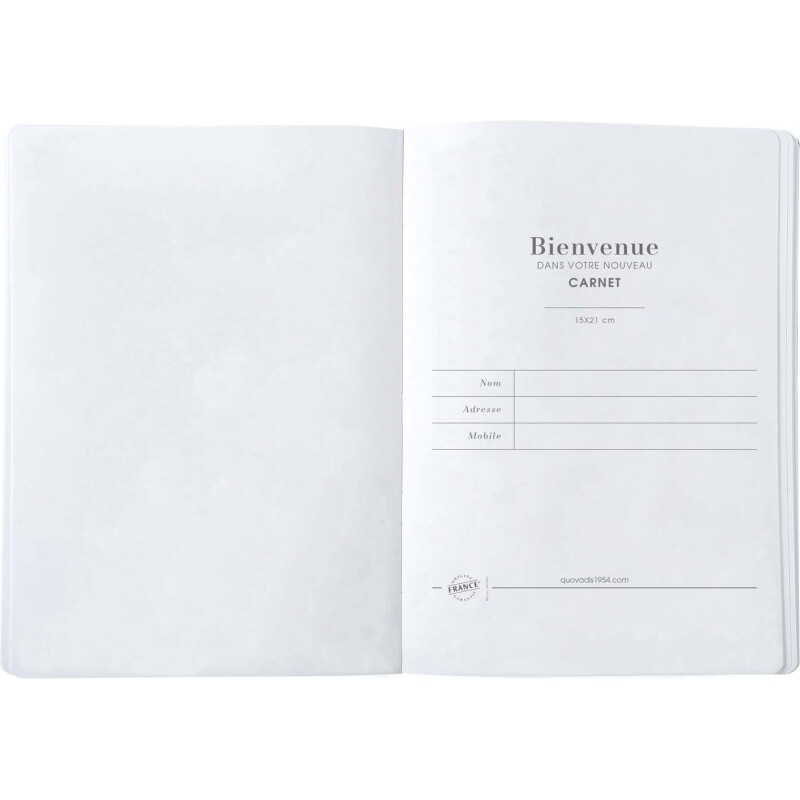 Quo Vadis - Carnet de notes - Français - Iconique - Multicolore - Pages Lignées - 15x21 cm - Toile (effet tissé)