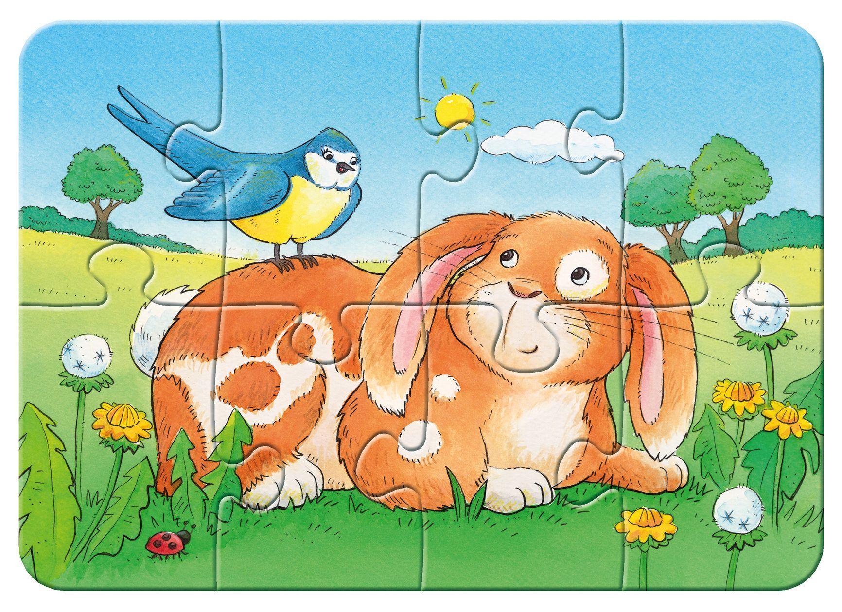 My first puzzles – Niedliche Haustiere 2/4/6/8-teilig