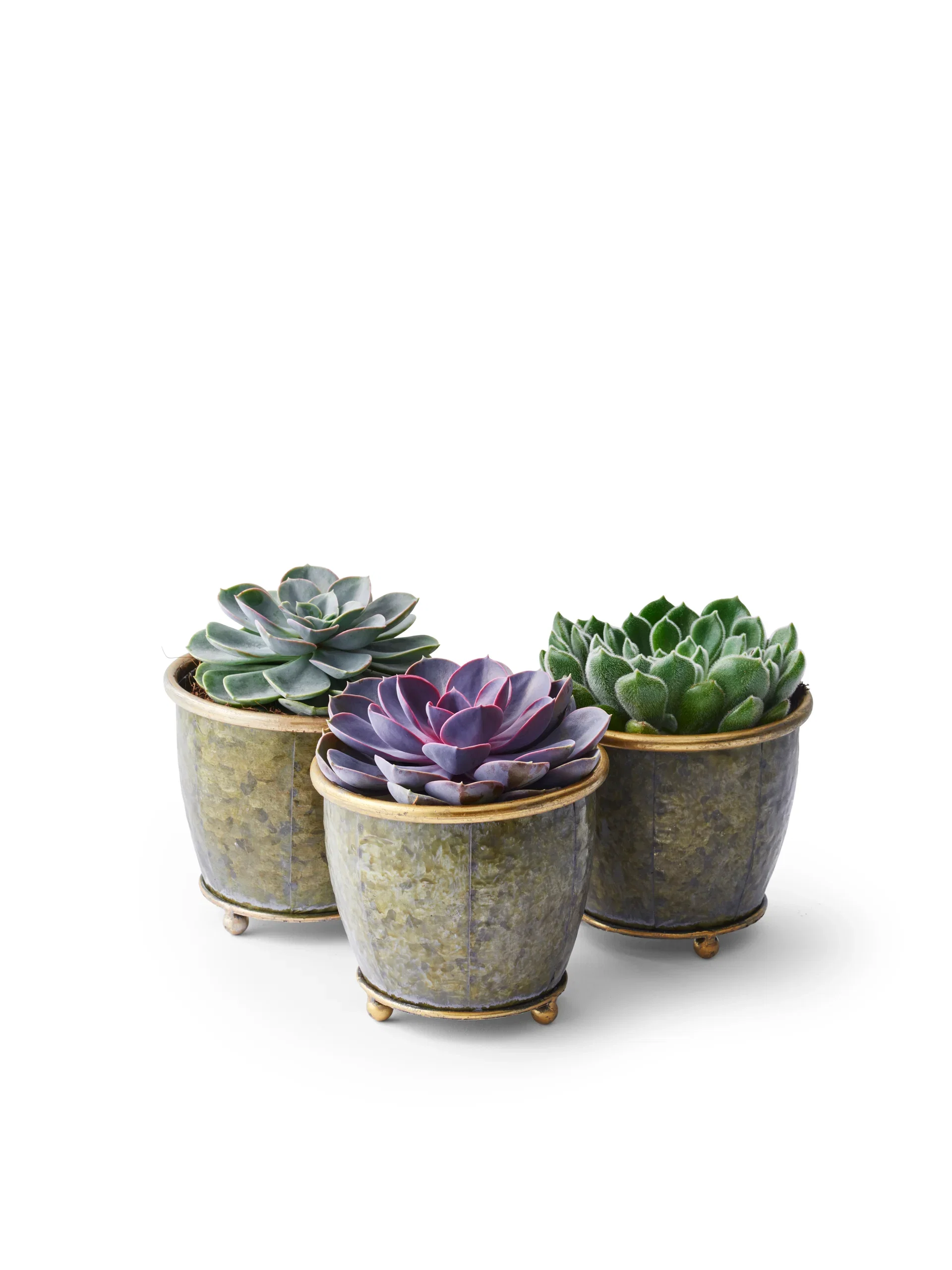 Plantagen Potte Jessie Ø14 cm