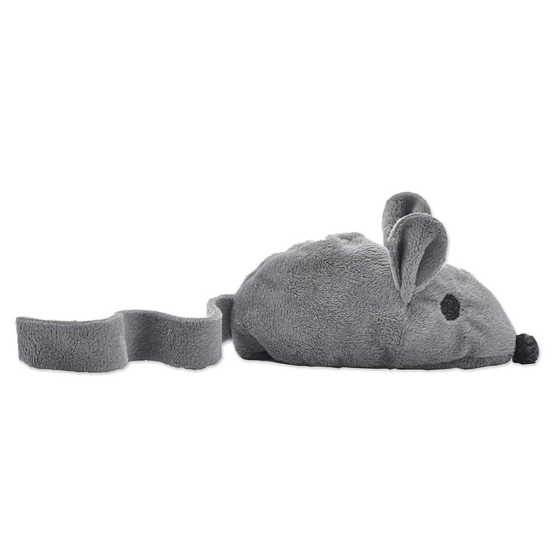 Souris Baldi