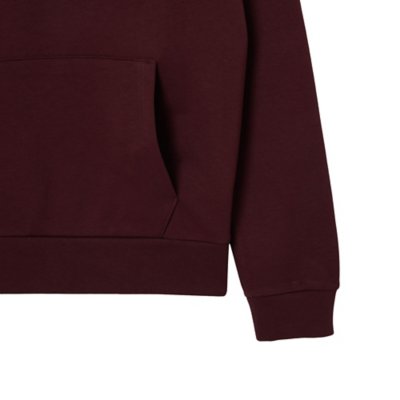 Sweatshirt à capuche homme en molleton LACOSTE