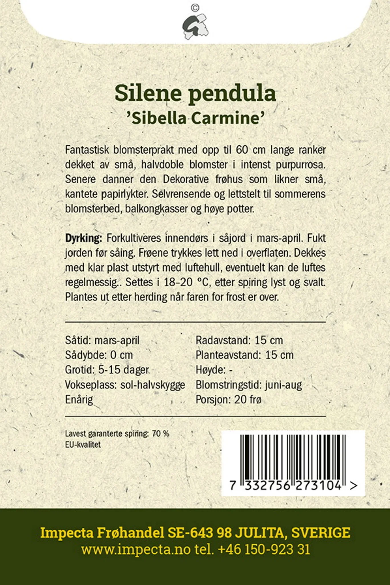 Silene pendula 'Sibella Carmine' Hengesmelle 'Sibella Carmine'