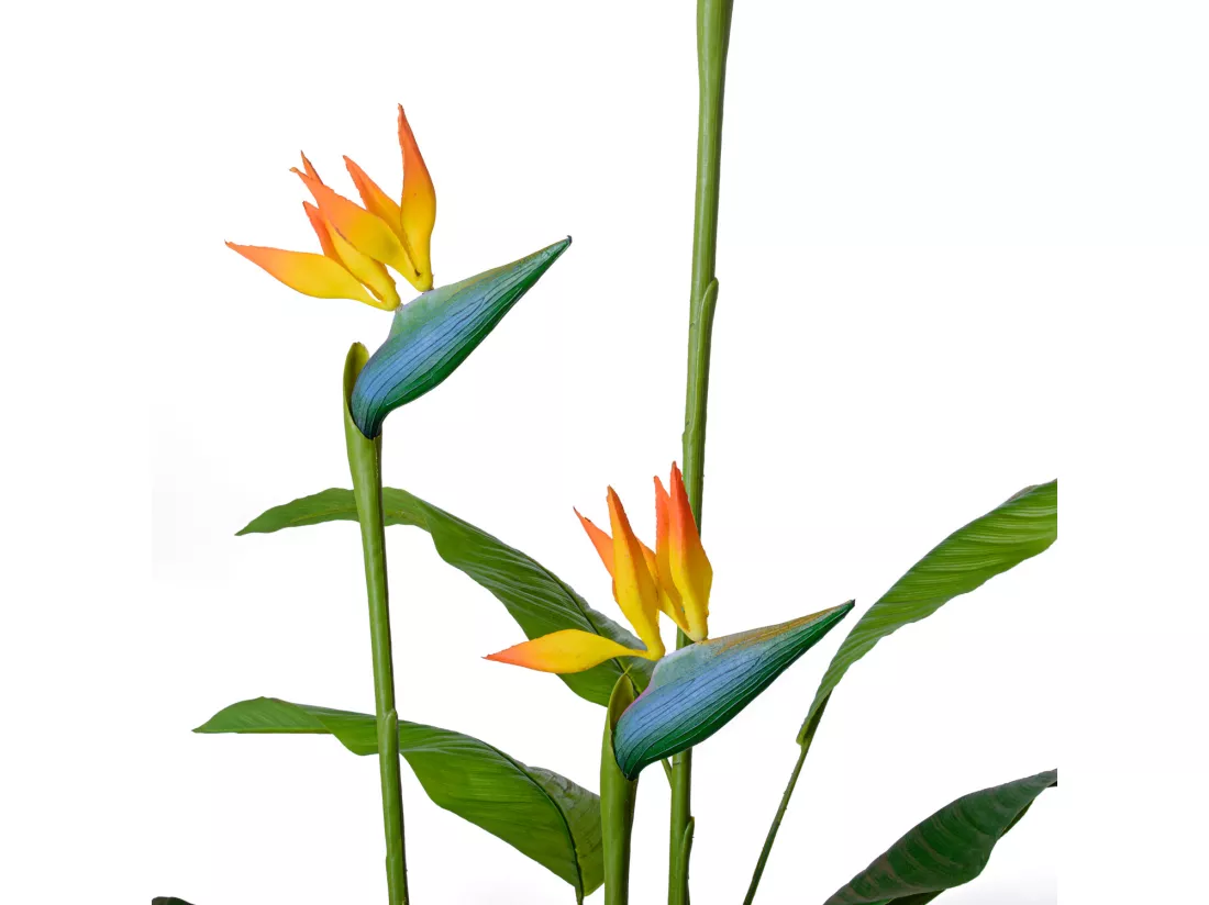 Bird of Paradise - Plante artificielle en pot H160 cm