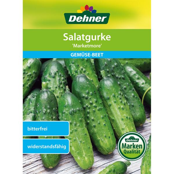Dehner Samen Salatgurke 'Marketmore'