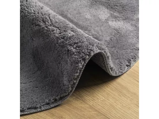 Tapis à poils courts doux et lavable anthracite ø 200 cm
