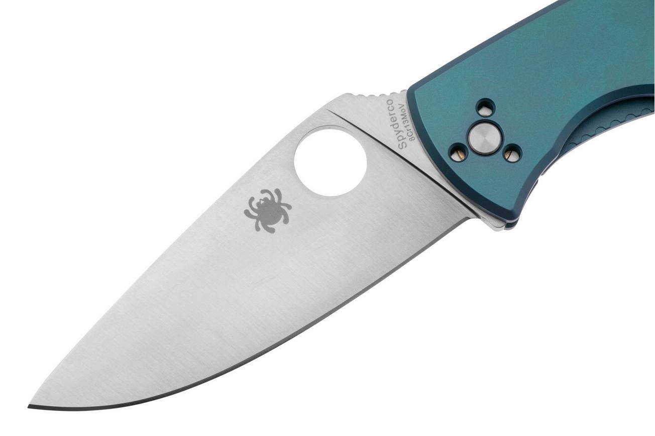 Spyderco Tenacious C122TIBLP Blue Titanium zakmes