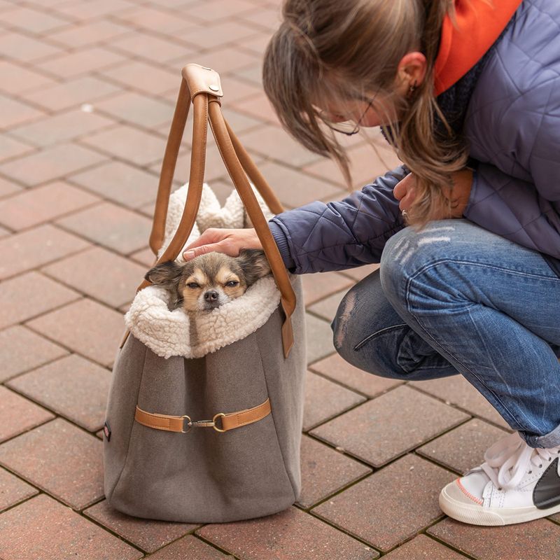 Sac de transport Trixie Rachel