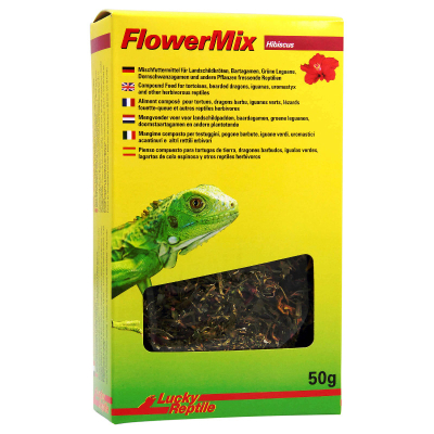 Lucky Reptile Flower Mix Hibiscus