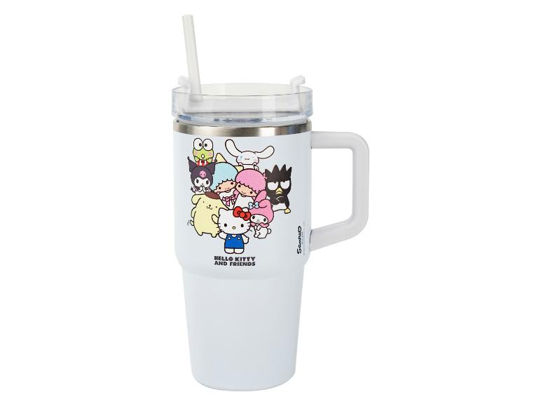 RVS drinkfles 590 ml