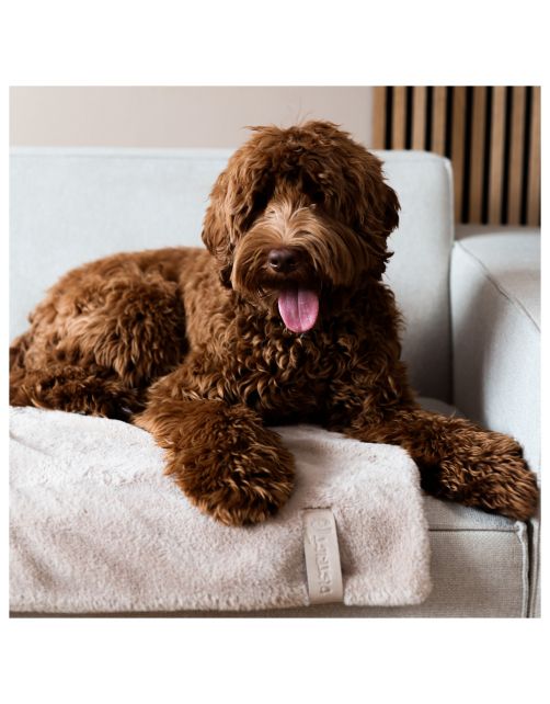 District 70 Nuzzle Blanket 100x70 cm - Hondendeken