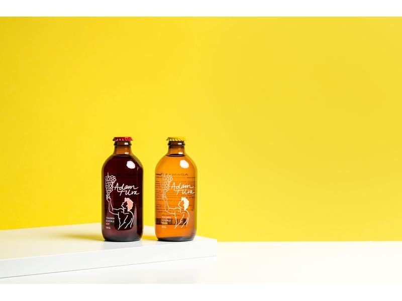 Adam & Uva Schweizer Trauben Schorle Rot 0.33 l Alkoholfreier Traubensaft mit Sprudel