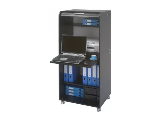 Armoire Informatique Mobile Noire 2 Tiroirs 5 Niches - Coloris: Bambous 912